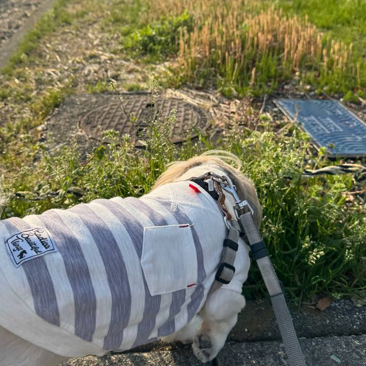 B4f3f980 f81a 47cd a66c be3b8e5e53cb 1742805969586