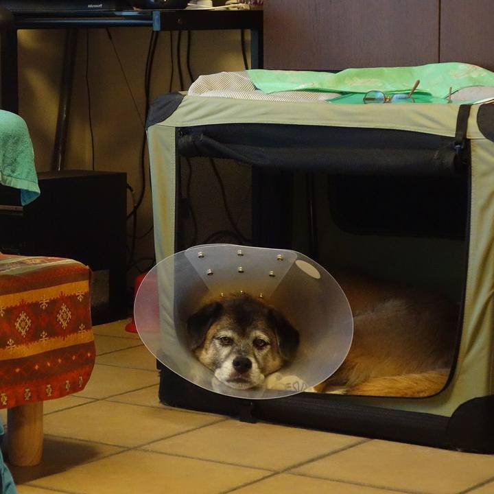 B4f413a2 6d89 4b3b bd2c cbdcb7591b22 1535886011598