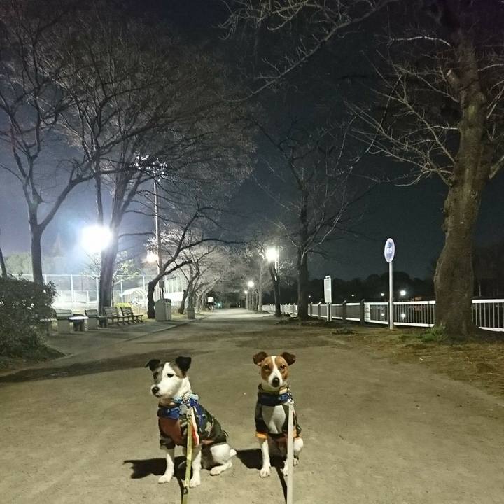 B4f45b24 5b2d 449c be12 11576a5b1cb1 1551097500859