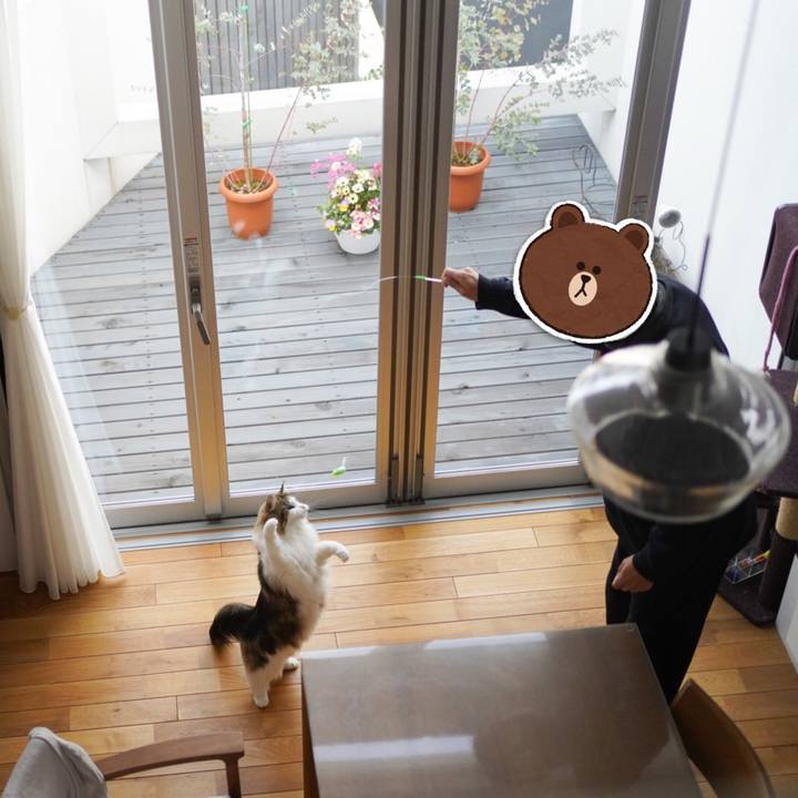 B4f46774 a96a 4283 bd88 030a2e5898a1 1582344754273