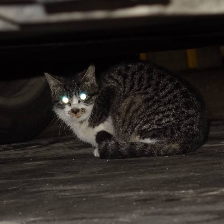 B4f49701 1995 4054 b558 44dcb4b3411a 1756853919084