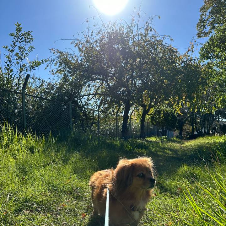 B4f4a048 5e43 4fed b516 39028ce6b924 1697937408968