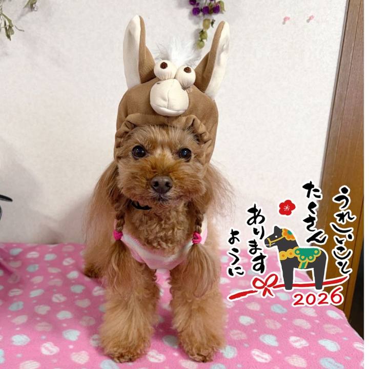 B4f50ccf a358 4f32 be3e 34159517840a 1767226063585