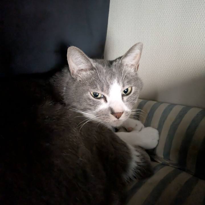 B4f5186d 54ec 4326 9822 e3d1c31fe236 1758590046490