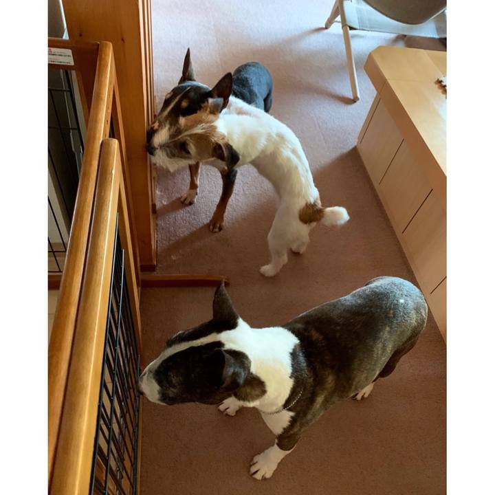 B4f5ebf3 6e9f 4079 ab2e 0c3ed8a36da3 1583202458902