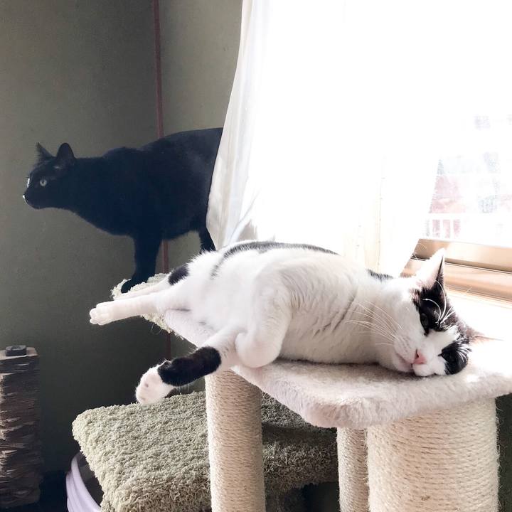 B4f609eb 5153 4706 b61b 0e48e1118277 1522548643000