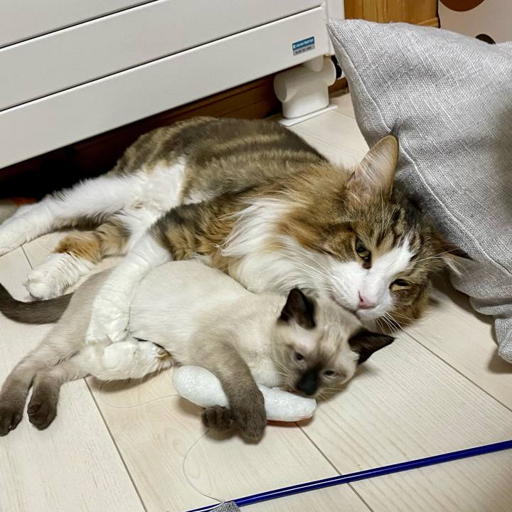 B4f61cae 15ec 4cc3 a06b 0a4b9efdd1ac 1691060054708