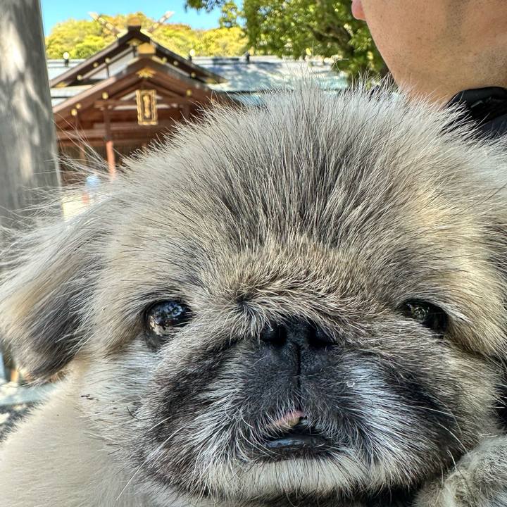 B4f62981 581a 4318 98d3 5e91c57651b8 1775786171147