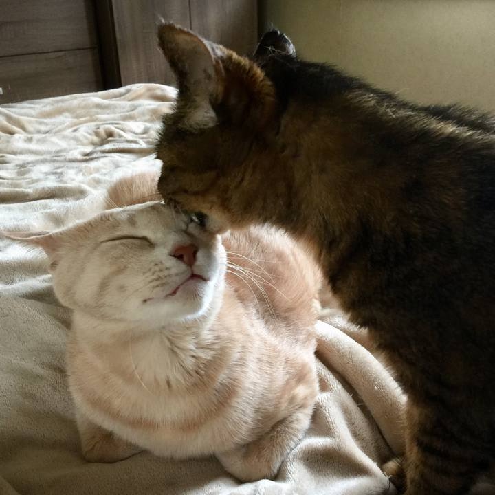 B4f65cd0 7df4 49b1 b9e1 2d7e0f379c13 1562049038239