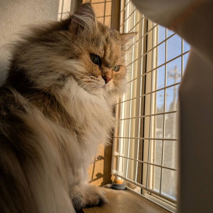 B4f66d01 f051 484a 9a10 0f830d7f7d9f 1764199663897