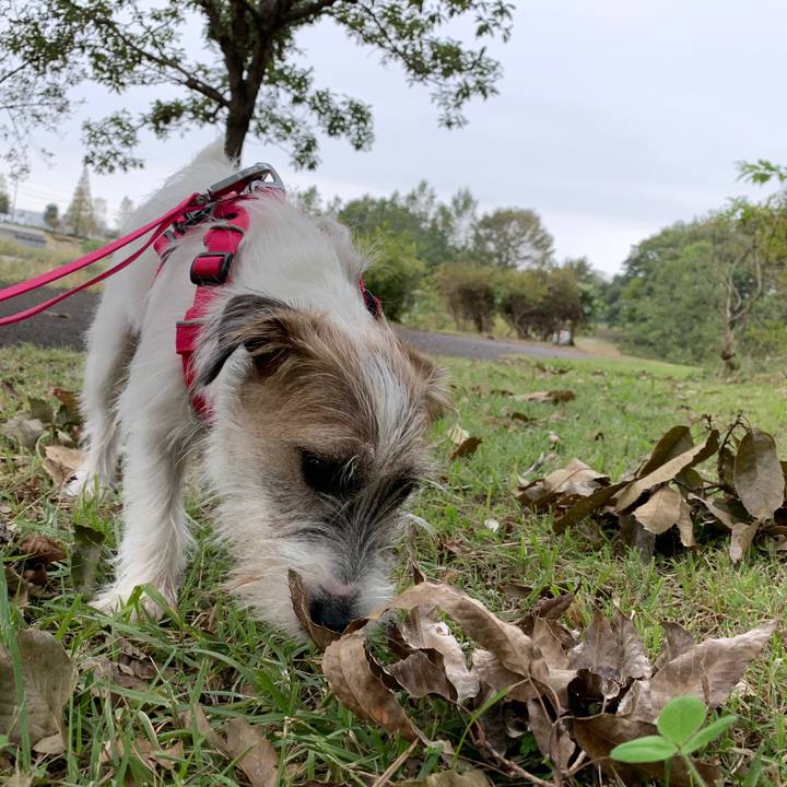 B4f673b7 a8ea 4913 9a7c 45382529108d 1571378692079