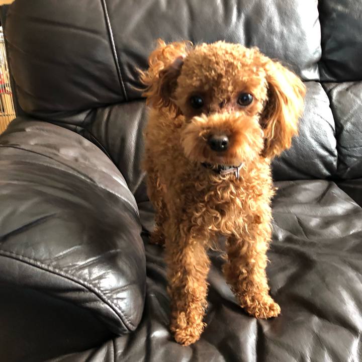 B4f68c82 e6bd 4144 941d eabc0b5db002 1511820895787