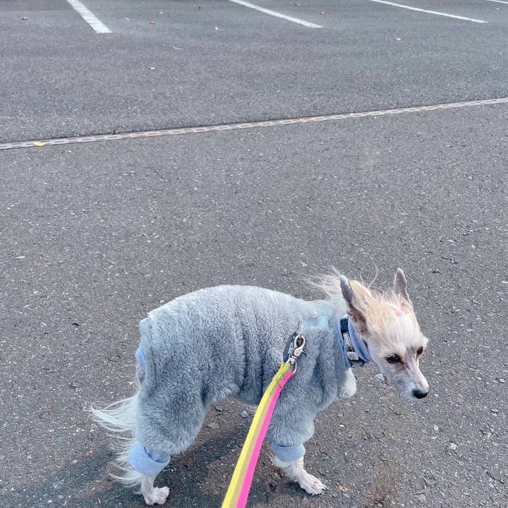 B4f6ace7 d848 4c08 9827 aa281e25a119 1769248001398