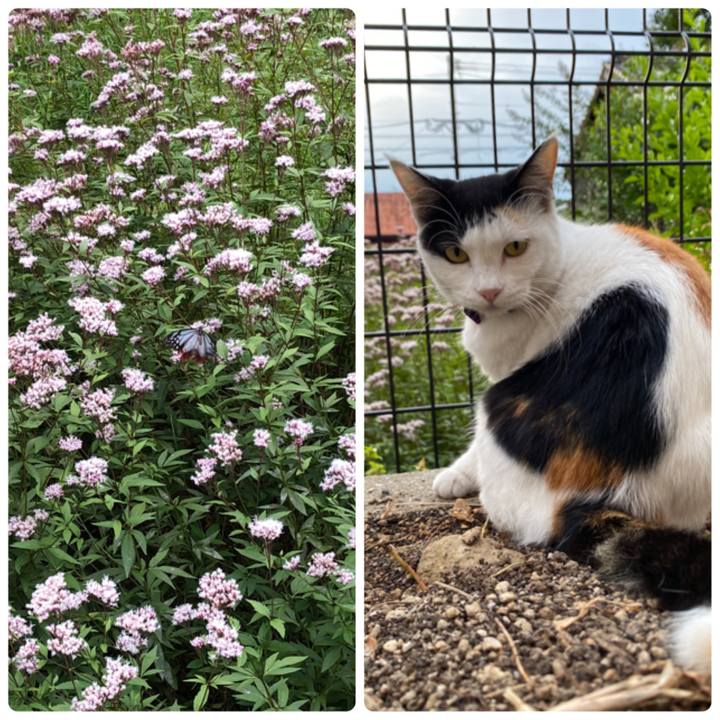 B4f6b7bf 616f 4c0f a9b2 84ba3f733598 1635199996231