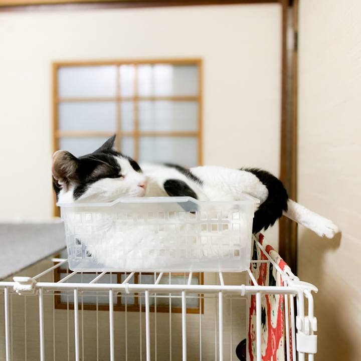 B4f6e53e 89a3 4f11 9439 71ac84074293 1600738349242