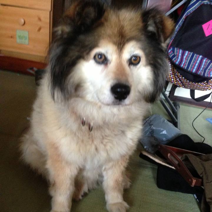 B4f6ff09 a392 4b7f 99b5 96a759adea1f 1595036366476