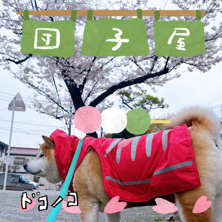 B4f728c5 da9c 4390 8816 d4e95380d04f 1712200471281