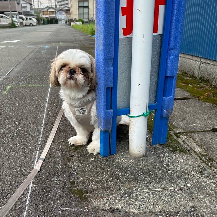 B4f77912 00d7 4c93 be52 9583d6b2b8bc 1687132515137