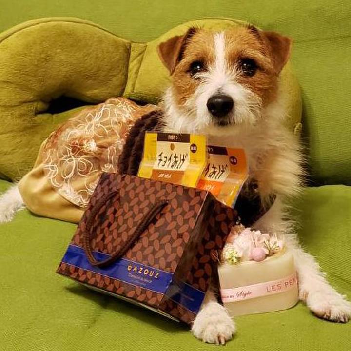 B4f7c472 98a7 4909 afdd 59e8525e67d1 1550152573527