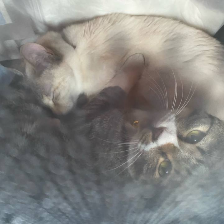 B4f7d88a 4201 4eec b65b c3c1ff9cd604 1648435869031