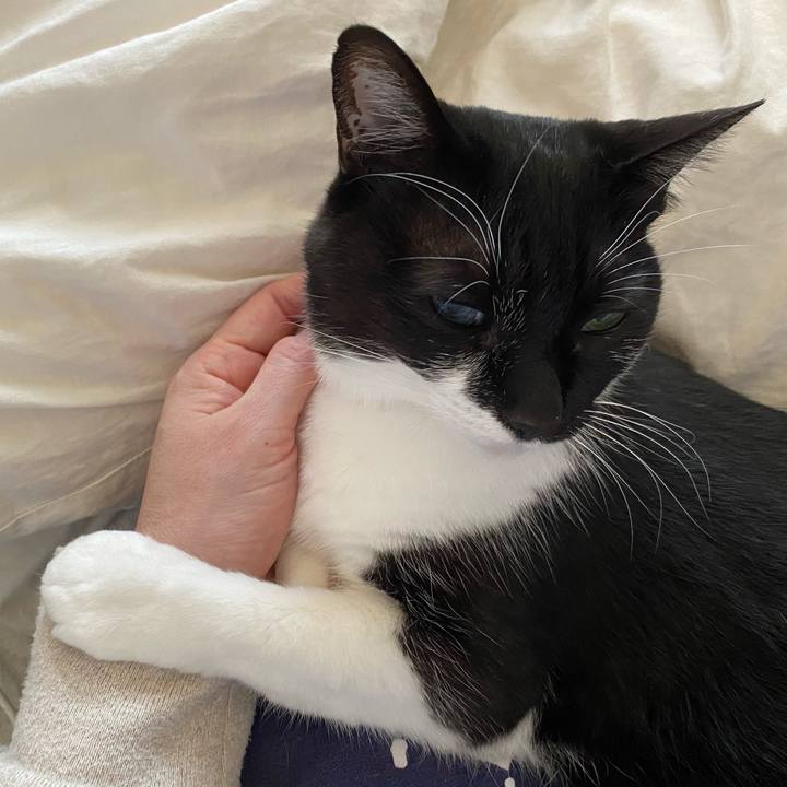 B4f80afa afbc 4a2d 9c30 af9f0b4d1d38 1618142200389