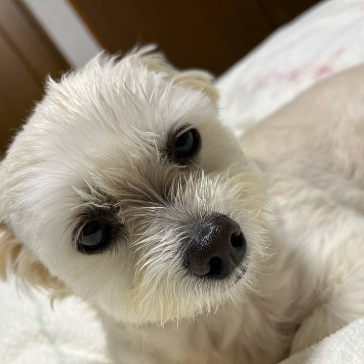 B4f86718 b58d 45b3 9e8a bb953c81c349 1653477666922