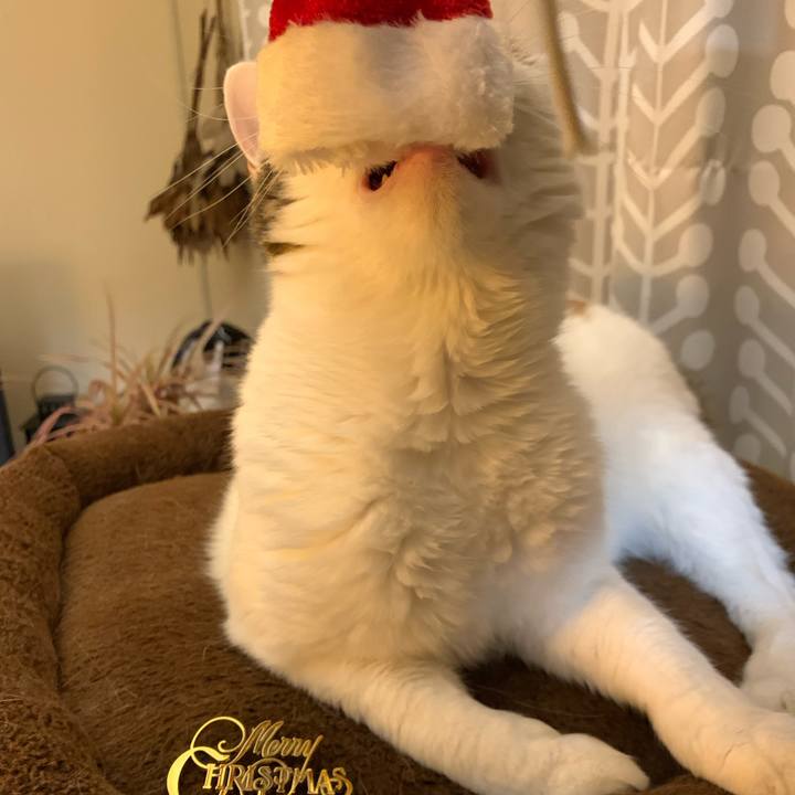 B4f8c535 6b07 4a9e 8a75 4fdaeba16b1b 1671884864457