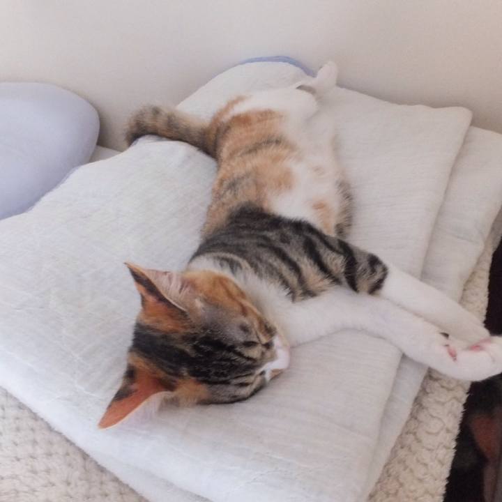 B4f8cae9 f6c0 472a a9eb 1493f7f3a870 1633306319261