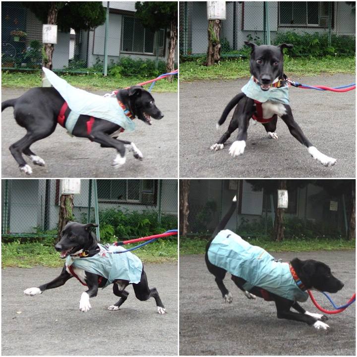 B4f8db72 ed2a 4a72 b02a 7e217c74b85b 1590021320559