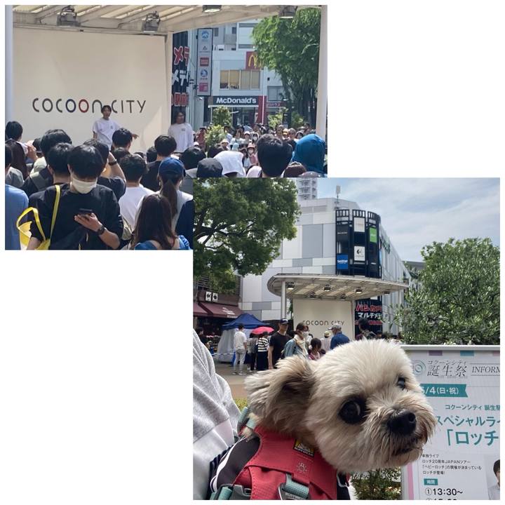 B4f8e55e 7606 4985 89d8 acb17a471d9a 1746346221659