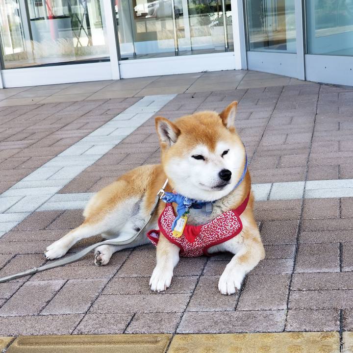 B4f9575a 1a3d 433d bb8e 197689fdc067 1560748426936