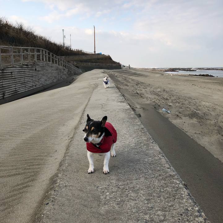 B4f96b99 2712 449b b02b becb6975f7d8 1549326713674