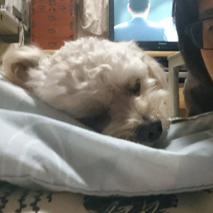 B4f9874b d613 4929 b4e5 278d21e98e48 1570944837116