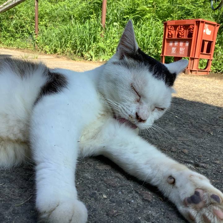 B4f99fda 1993 4013 b72d 3cb83ac423b9 1596551977289