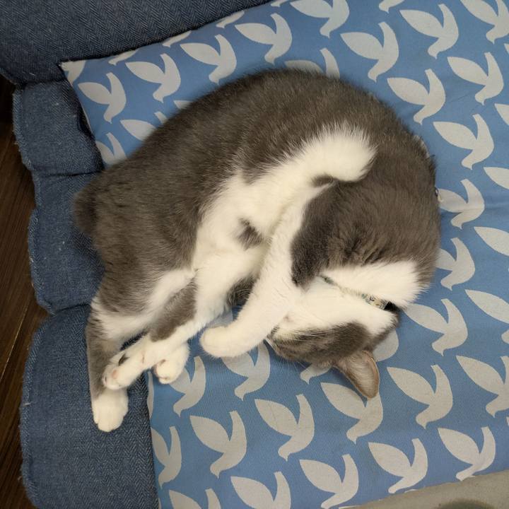 B4f9cea2 554b 402c a4b8 aa3c8f763254 1759149980281