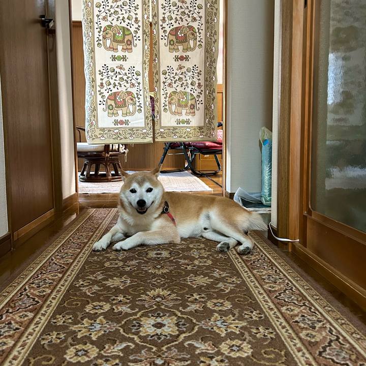 B4fa1b6e 92bd 42b6 b899 934066ba73e7 1720523178607