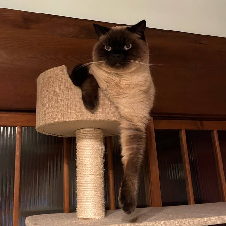 B4fa5a3a 2d3f 41b0 92e3 79b806fb9c14 1647826195720