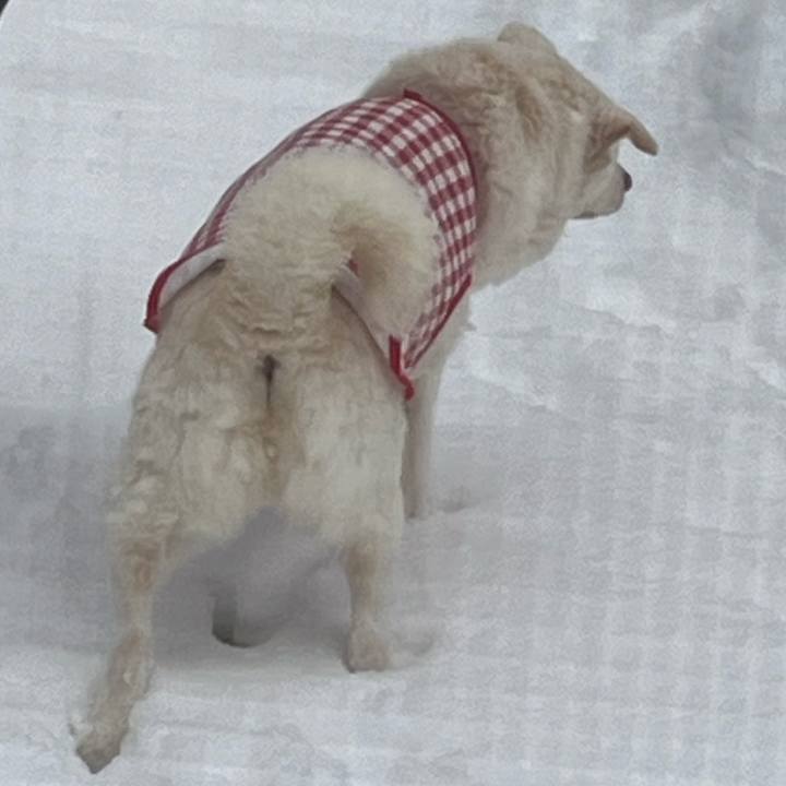 B4fa7a4c 0917 46ce 9d11 fc7d87090311 1769125532237