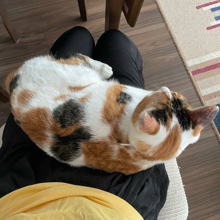 B4fa9a40 c23c 4353 a837 a4a44dc628df 1631421124896