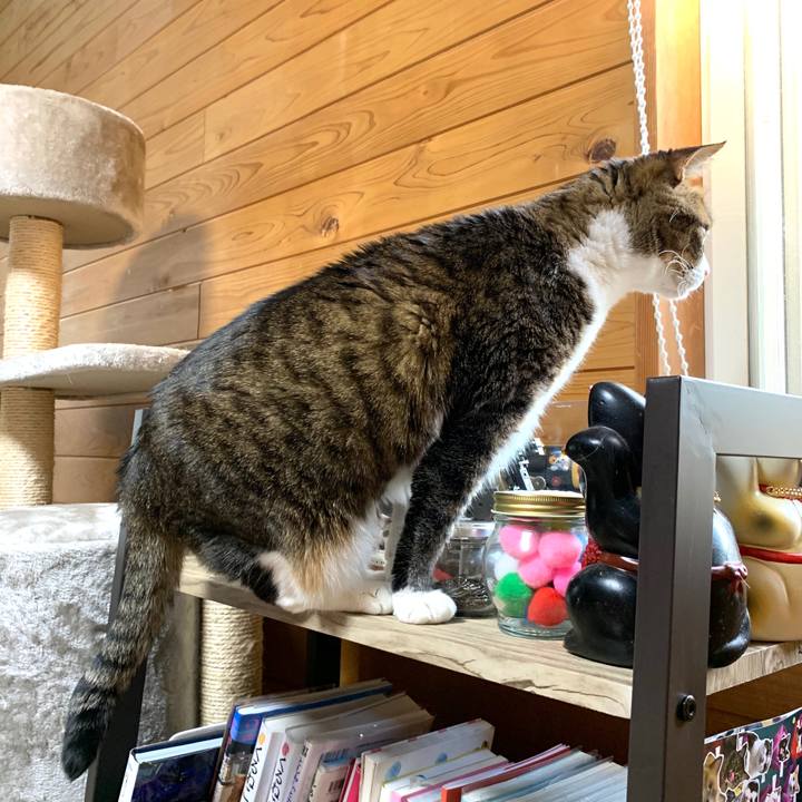 B4faaf9c 5a84 4f6b 8359 c64d4d6e340c 1588757279841