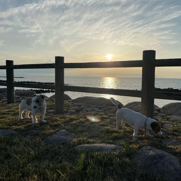 B4fade7e 8878 4565 942c 2966a8b32abd 1657712184925