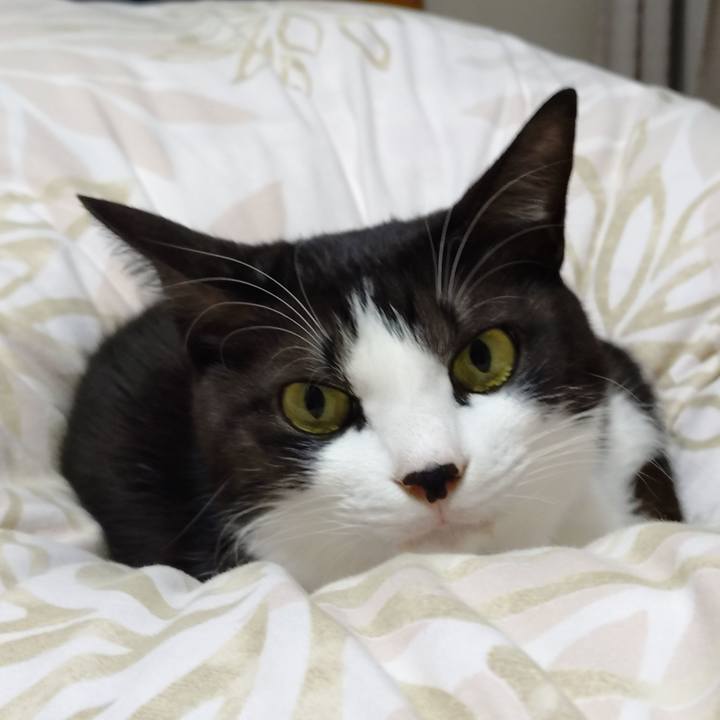 B4fb263c 51ab 4a7d ad20 1b314f02f9a0 1765074329923