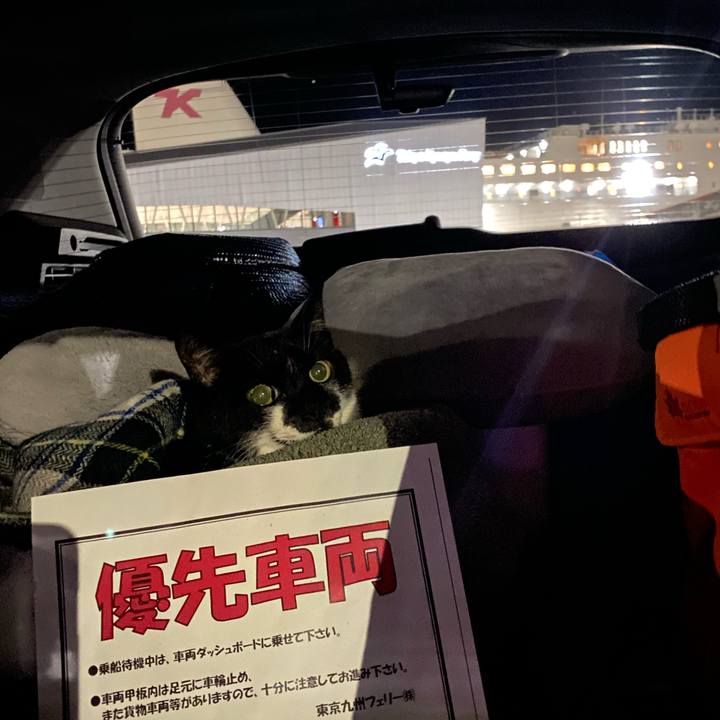 B4fb2e7e 5e83 4ec5 9bc0 bc845c43d71b 1638020880966