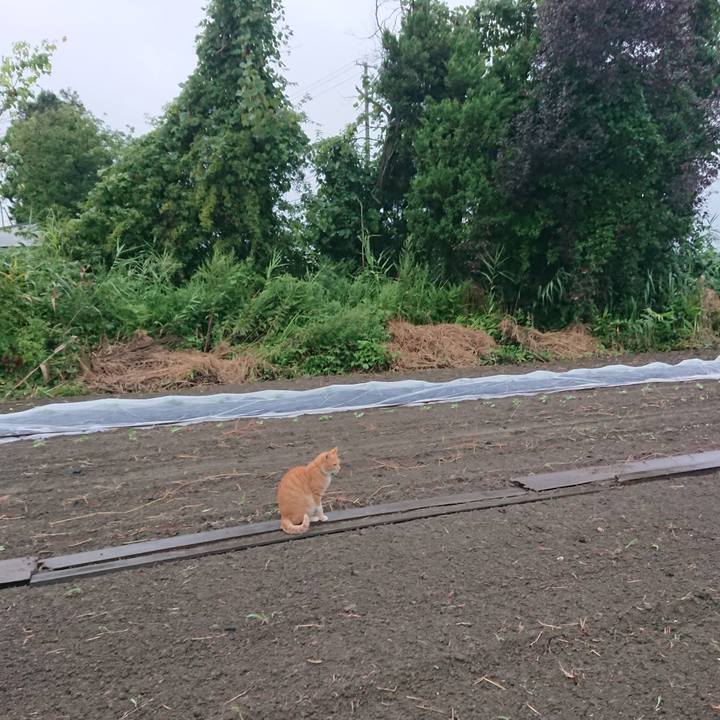 B4fb4e27 4bb1 433d 8882 fd22b02cf9ca 1567415251410