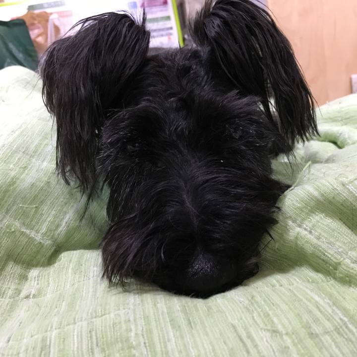 B4fb5149 4e45 4e31 92a7 2f0f7b4fe17c 1529484815172