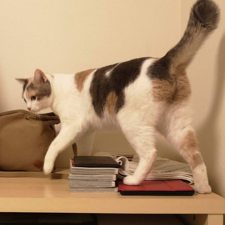 B4fb76ee 1223 45d7 a8d8 7c7f18e70d91 1608386382281