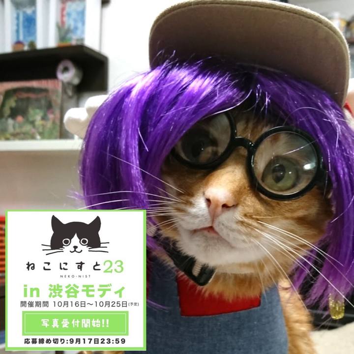 B4fb7d78 ee0e 492b b4fe 60bbaa612c40 1600432616993