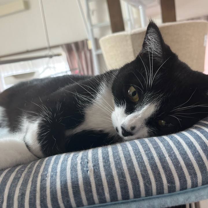 B4fbdcb7 1ec2 4de5 a120 68c1c7f63440 1719458692063