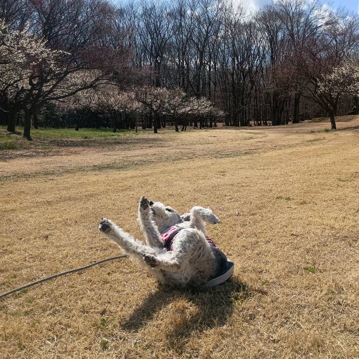 B4fc1aab ec92 4c27 9b60 66be29a7b343 1772883835574