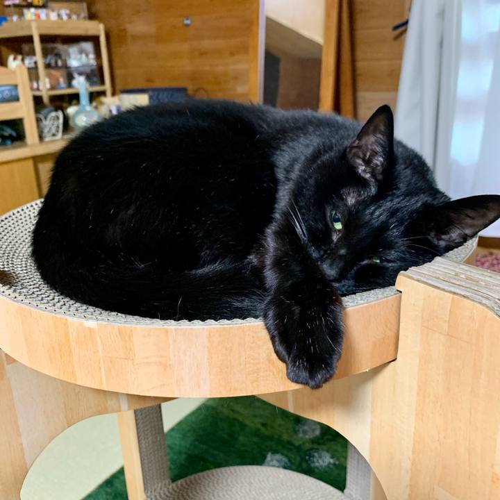 B4fc2a75 72ce 4224 9d26 be31058c5c40 1639617990833